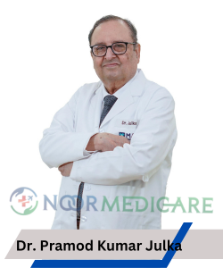 Dr. Pramod Kumar Julka