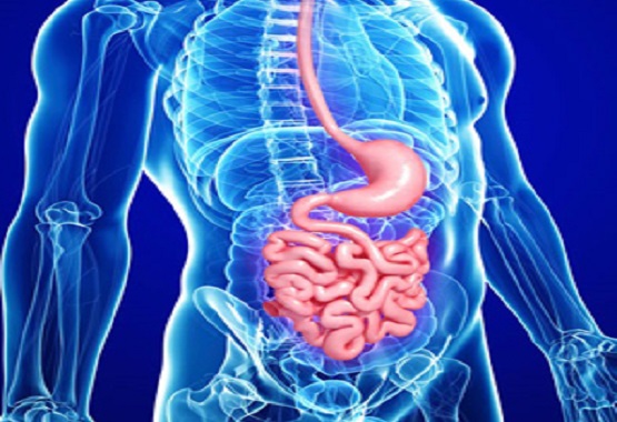 Gastroenterology